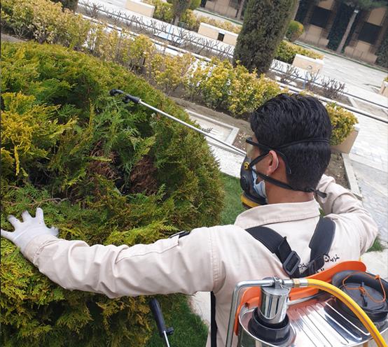 Design Garden